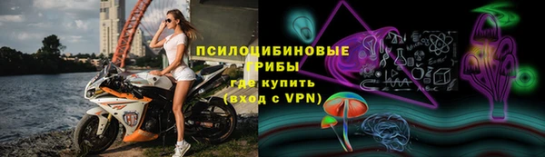прущие крисы Алзамай