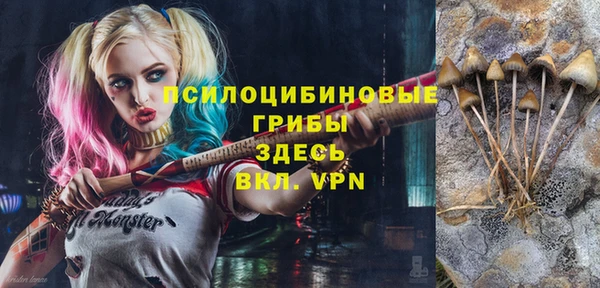таблы Алексин