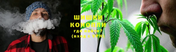 прущие крисы Алзамай