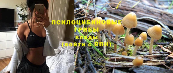 прущие крисы Алзамай