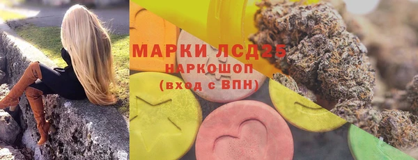 ГАЛЛЮЦИНОГЕННЫЕ ГРИБЫ Алексеевка